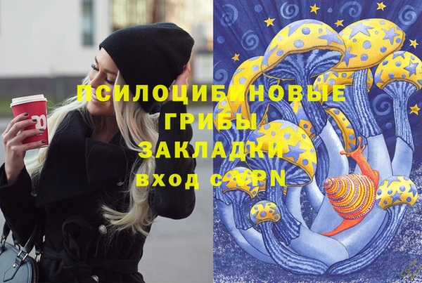 индика Карпинск