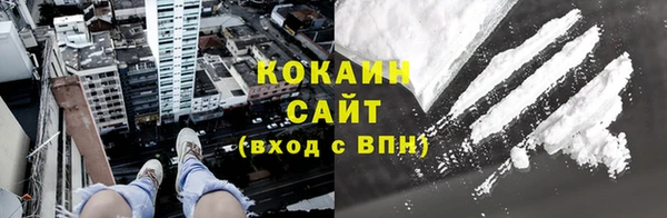индика Карпинск
