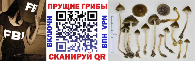 Псилоцибиновые грибы мицелий  гидра tor  Свирск 